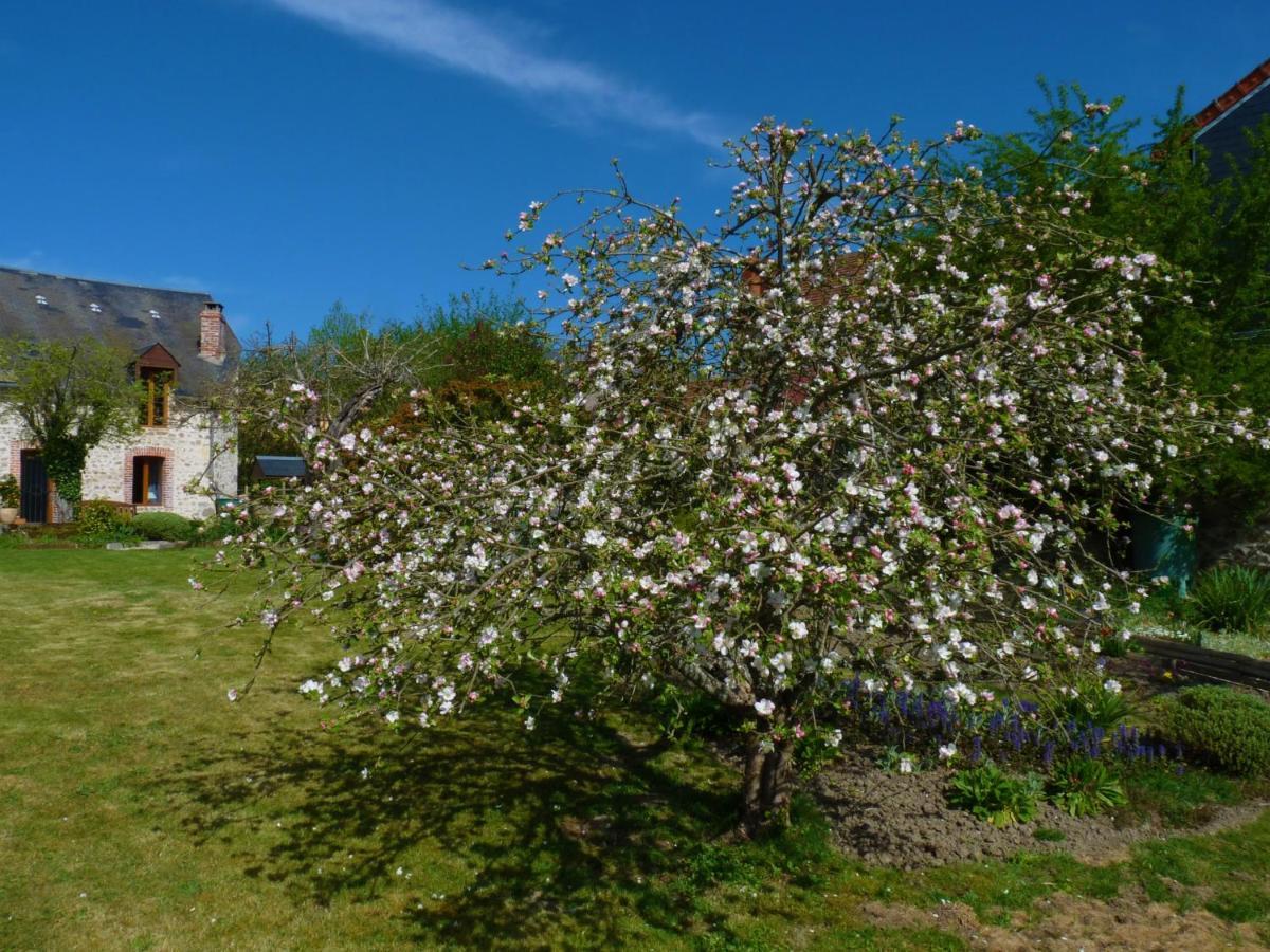 Een Prachtige Gite In Frankrijk Chez Gerard Vieilleville Eksteriør bilde